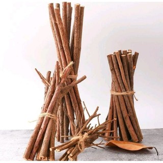 Combo 10 Cành  củi khô trang trí decor