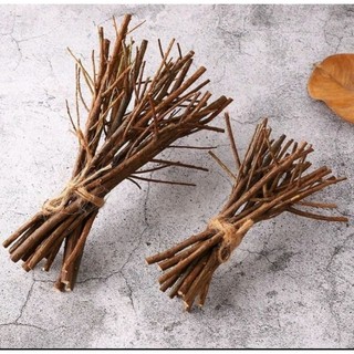 Combo 10 Cành  củi khô trang trí decor