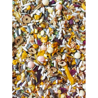 Thức ăn hamster cao cấp 500g - Chuột Hamster