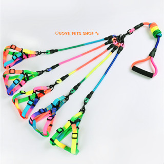 Dây dắt cho Chó Mèo nhiều đầu tiện lợi màu 7 sắc cao cấp - Love Pets Shop