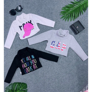 Áo Croptop cổ lọ tay dài