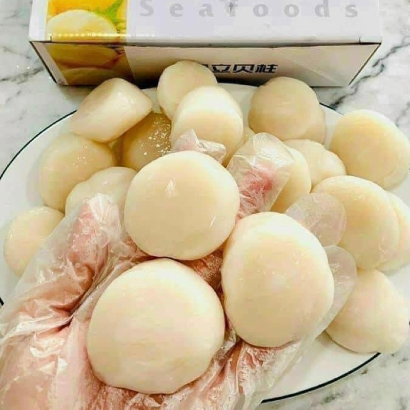 CÒI SÒ ĐIỆP NHẬT SIZE LỚN (5 CỒI DÙNG THỬ ~ 200G)