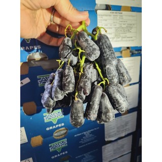 HCM Free Ship - 500gr Nho Ngón Tay Úc - Nam Phi Hàng Siêu Vip