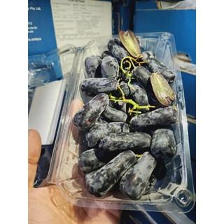 HCM Free Ship - 1kg Nho Ngón Tay Úc - Nam Phi Hàng Siêu Vip