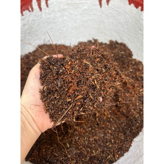 Đất sạch trộn sẵn trồng cây, đất dinh dưỡng trồng cây tiện lợi