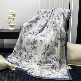 Chăn lụa thái, chăn hè lụa thái trần bông mềm mịn cao cấp 2mx2m3