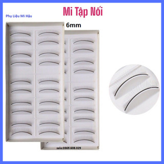 Mi Tập Nối_Hộp Mi Gỉa Tập Nối Mi Cho Học Viên_Mi Học Nối_Mi Gỉa Học Nối Loại 5 Cặp10 Cặp 6mm_Mi Thực Hành Dụng Cụ Nối Mi