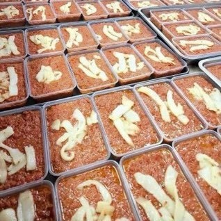 PATE CỘT ĐÈN HẢI PHÒNG - 500G