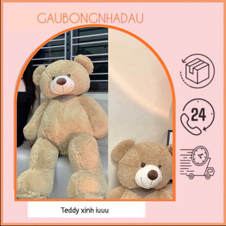 Gấu bông TEDDY xinh dễ thường hàng qc