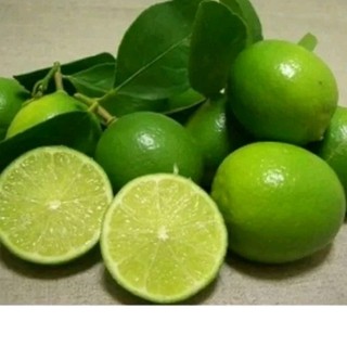 🍋chanh tươi không hạt mọng nước - 1kg