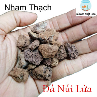 800G ĐÁ NHAM THẠCH VIÊN NHỎ VẬT LIỆU LỌC HỒ CÁ NON BỘ THỦY SINH