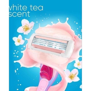 Set 2 dao cạo Venus có đầu bơ dưỡng