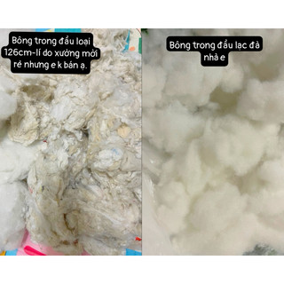 (SẴN GIAO NGAY_BẢN CAO CẤP) 𝐂𝐚𝐦𝐞𝐥 𝐀𝐥𝐩𝐚𝐜𝐚 𝐂𝐡𝐚𝐢𝐫 | 𝐆𝐡𝐞̂́ 𝐥𝐚̣𝐜 đ𝐚̀ 𝐀𝐥𝐩𝐚𝐜𝐚 𝐬𝐢𝐞̂𝐮 𝐜𝐚̂́𝐩 đ𝐚́𝐧𝐠 𝐲𝐞̂u