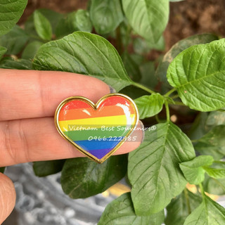 Huy hiệu pin cờ cầu vồng cài áo lgbt 2.5 cm