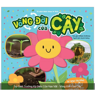 Sách - Sự sinh trưởng kỳ diệu của vạn vật - Vòng đời của cây