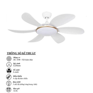Quạt trần đèn 6 cánh trang trí không tiếng ồn lắp cho cả trần thấp,trần cao,sải cánh 1,22m,động cơ DC lõi đồng 6 tốc độ