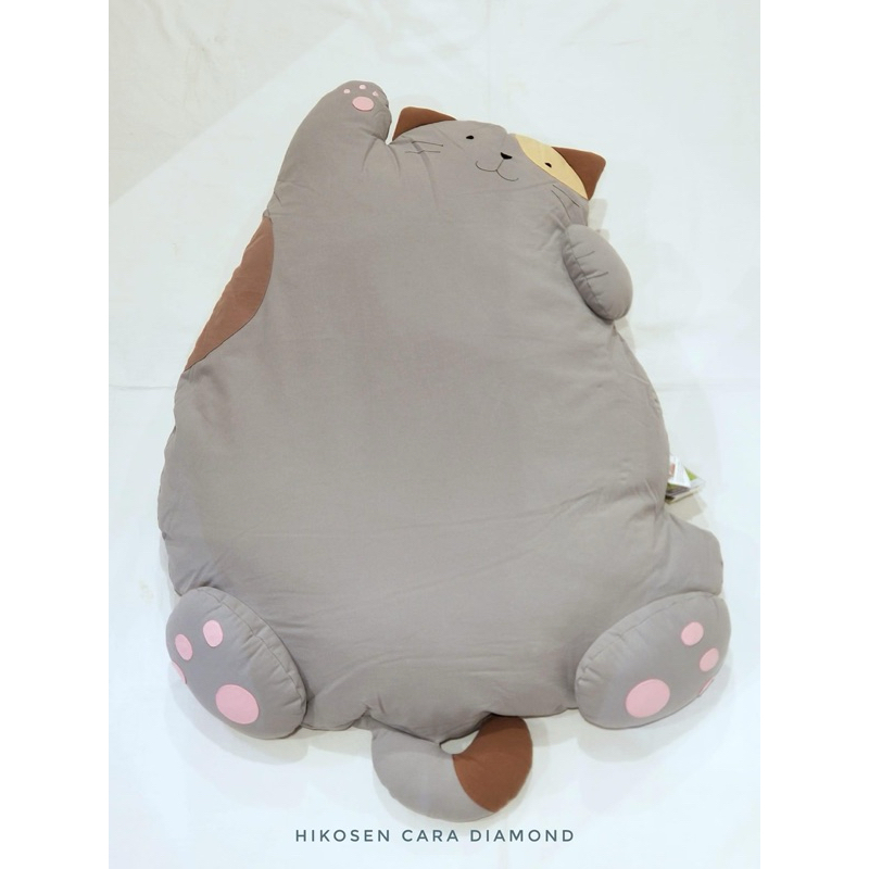 🌺🌺Mèo bồng bềnh 🌺🥰