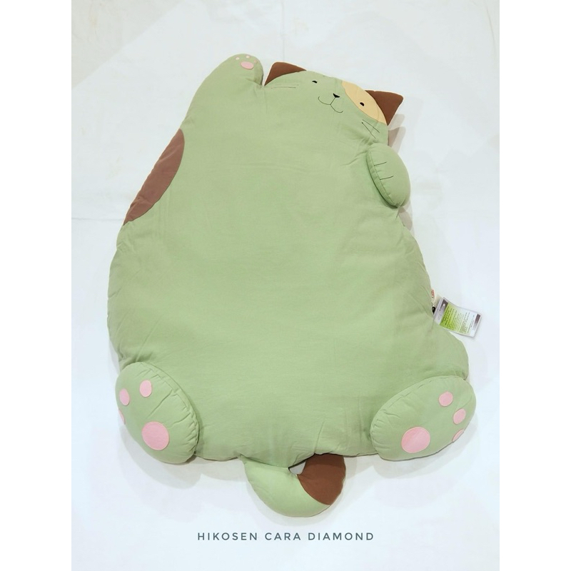 🌺🌺Mèo bồng bềnh 🌺🥰