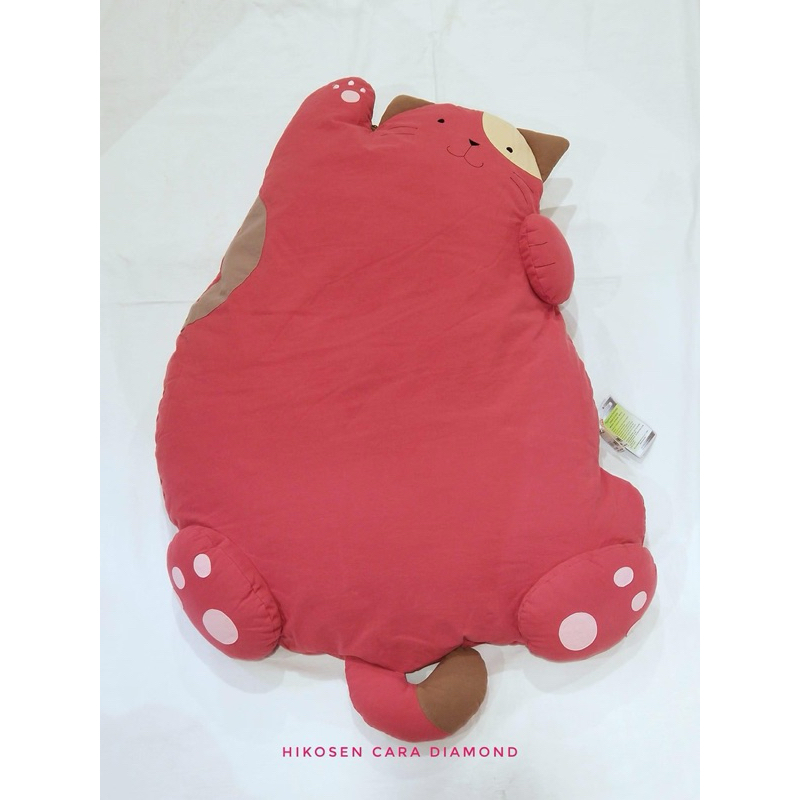 🌺🌺Mèo bồng bềnh 🌺🥰