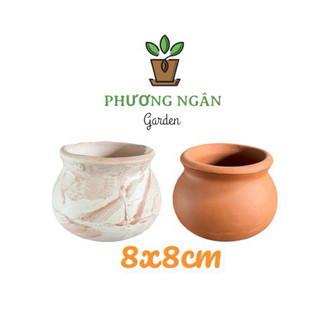 Chậu đất nung 8x8cm