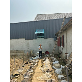 cốt nghệ gấc hạ thổ cho mặt