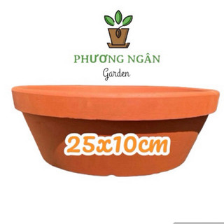 Chậu đất nung lùn 25x10cm