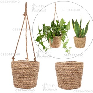 Giỏ cói, sọt cói trồng cây, trang trí tiểu cảnh.