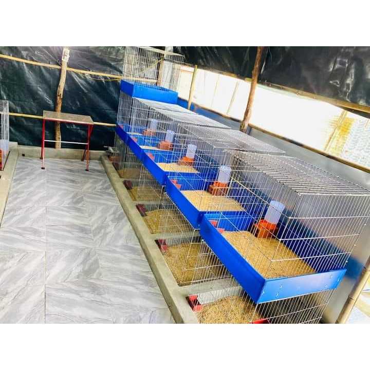 Lồng 60v [60x60x60] lồng thú cưng,Nội Thất Cho Thú Cưng ,lồng nan khít,lồng kẽm ,chuồng kẽm. lồng nu