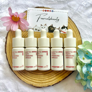 (Minisize) Tinh Chất Dưỡng Ẩm Chống Lão Hóa, Dưỡng Sáng, Phục Hồi Da Innisfree Black Tea Youth Enhancing Ampoule 10mL