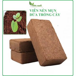 Viên nén mụn xơ, viên nén dừa cục, dừa bánh đã xử lý dùng trồng rau củ quả, cây cảnh, trộn đất trồng cây