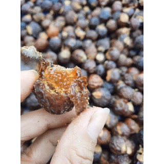 Bồ hòn tách hạt 500g (loại nhiều mật)