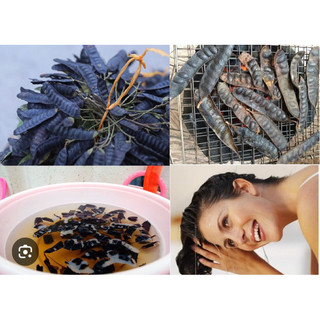 Bồ kết sao thơm 1kg (bồ kết sao tay bếp củi)
