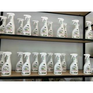 Thảo mộc 10s diệt muỗi,kiến, gián