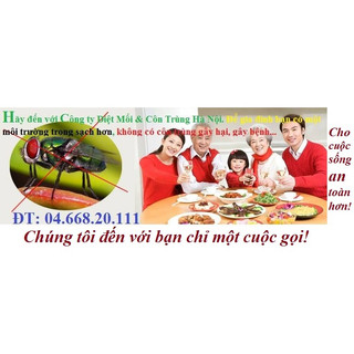 Thảo mộc 10s diệt muỗi,kiến, gián