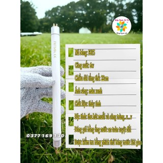 Bóng đèn bắt muỗi 6w F6T5/BL (chiều dài tổng thể khoảng 22cm)