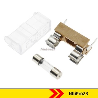 Đế hộp cầu chì - cầu chì 6x30mm 2 chân xuyên lỗ gắn pcb