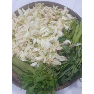 cây so đũa lùn tứ quý