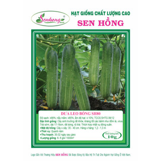 Hạt giống dưa leo bóng sh80 sen hồng gói 10 gam 400 hạt trái bóng đẹp, năng suất cao, cây sinh trưởng khỏe, khán bệnhtốt