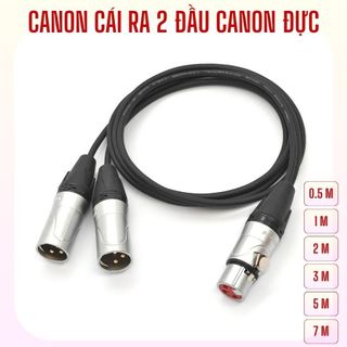 Dây canon cái ra 2 đực, Dây canon 1 ra 2