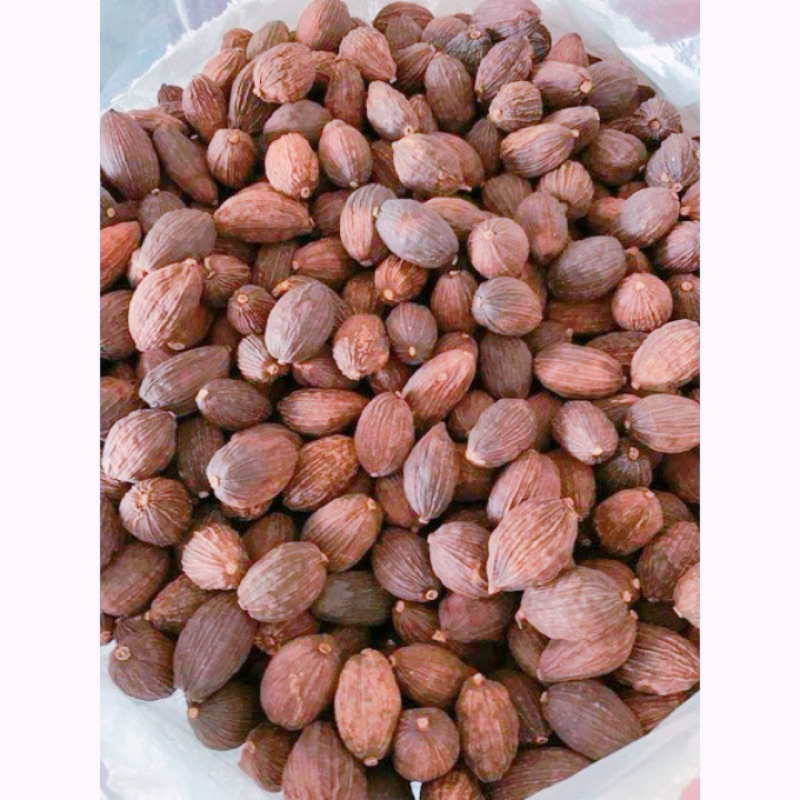 🩵20g Thảo Quả (Thảo Qủa Khô, To, Loại 1)🩵Thảo Mộc Gia Vị