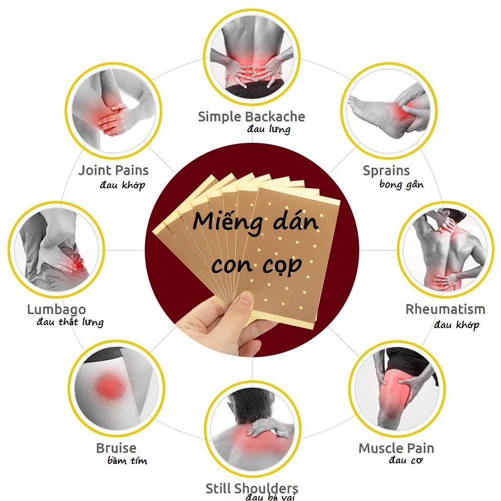 8 Miếng Cao Dán Con Cọp, Dán Đau Lưng, Đau Cổ, Đau Khớp, Đau Vai, … thành phần cao động vật, thảo dược – Hiệu quả sau 2