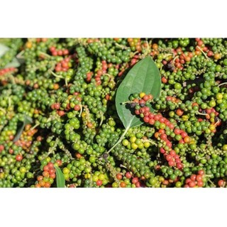 3 kg hạt tiêu đen _ hàng loại 1_ hồ tiêu đen - hạt tiêu đen tây nguyên - hạt tiêu sạch 100%