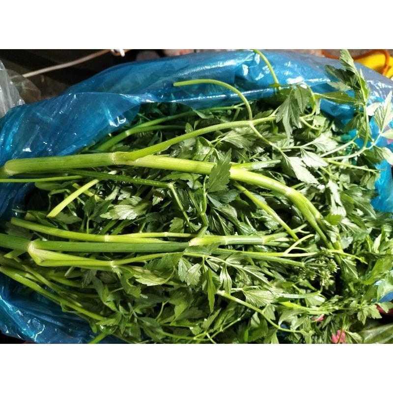 rau cần đồng 500g
