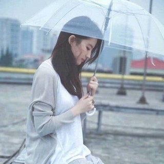 Ô che Mưa, Dù Đi Mưa Trong Suốt, Chụp Ảnh Sống Ảo Phong Cách Hàn Quốc