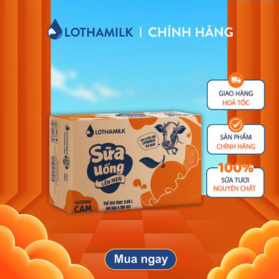 Thùng 48 hộp sữa tươi lên men tiệt trùng Lothamilk 180ml