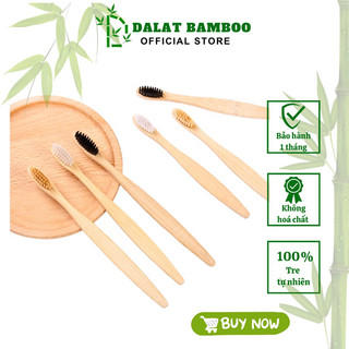 [ GIÁ SỈ ] COMBO 50 CHIẾC BÀN CHẢI TRE KHÁCH SẠN