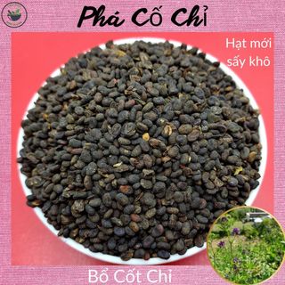 Phá Cố Chỉ (Bổ Cốt Chỉ), 100g hạt khô, loại đẹp, hàng mới