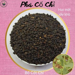 Phá Cố Chỉ (Bổ Cốt Chỉ), 100g hạt khô, loại đẹp, hàng mới