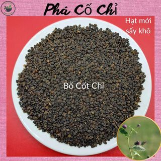 Phá Cố Chỉ (Bổ Cốt Chỉ), 100g hạt khô, loại đẹp, hàng mới