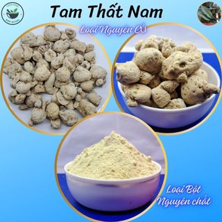 Tam Thất Nam, 100g loại nguyên củ hoặc loại bột nguyên chất